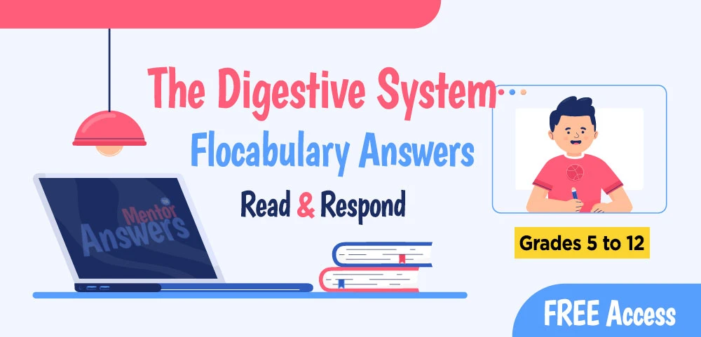 The Digestive System Flocabulary Answers